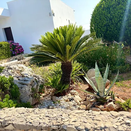Li Canti Di Giulia Villa Casarano
