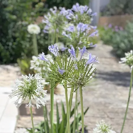 Li Canti Di Giulia Villa *